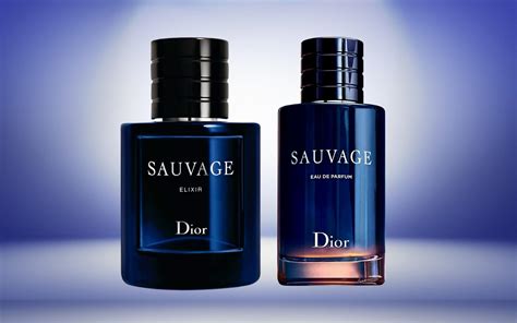 dior sauvage desciption|dior sauvage differences.